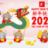 Public Holiday | Lunar New Year 2021