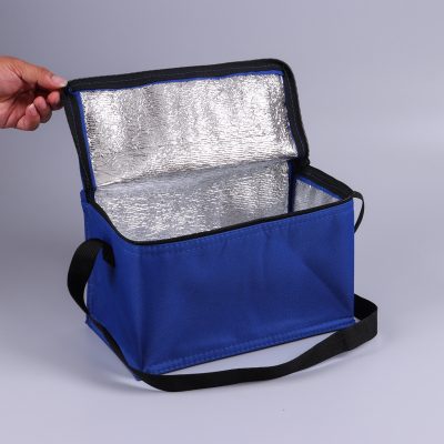 Oxford Thermal Carry Bag - Image 2